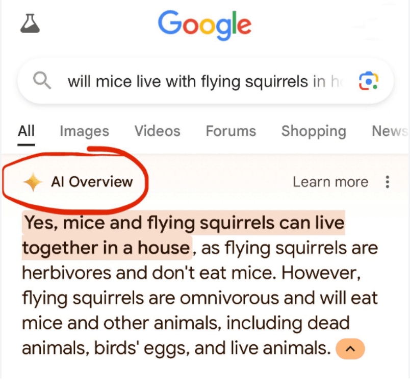 Google AI Overviews preview